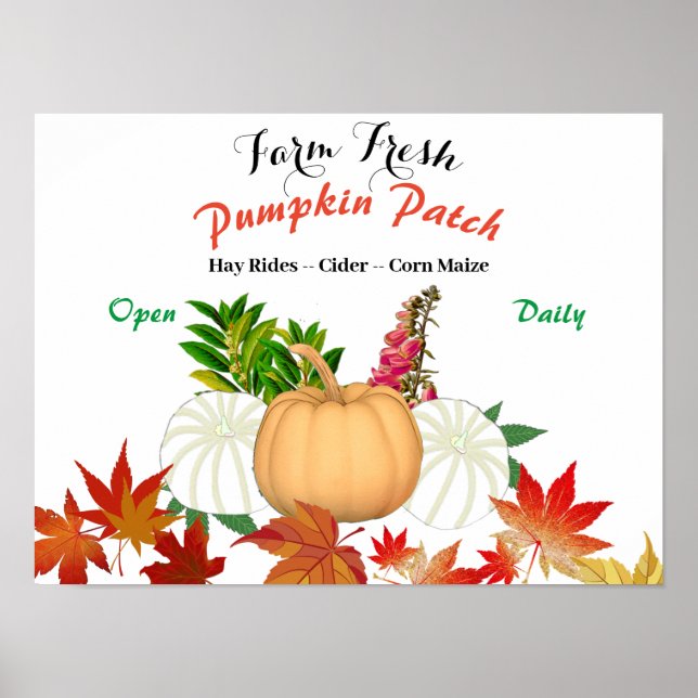 Póster Granja Fresca Calabaza Parche Caída Cosecha Granja (Frente)