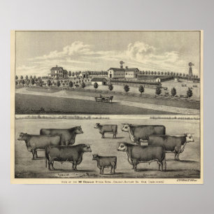 Póster Granja McDonald, Nebraska