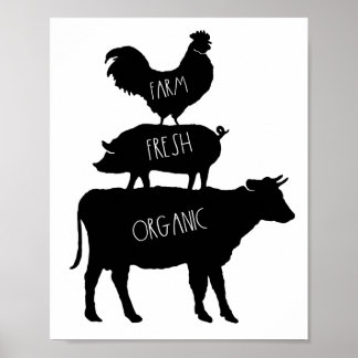 Póster Granja Poster de gallo de gallo orgánico fresco