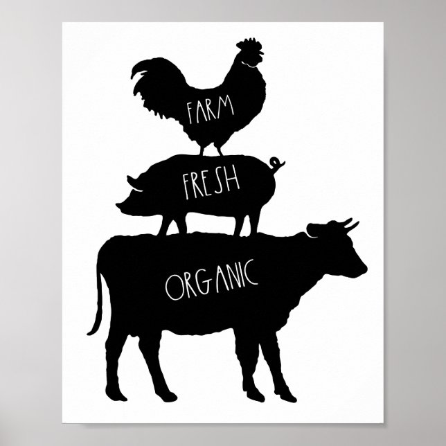 Póster Granja Poster de gallo de gallo orgánico fresco (Frente)