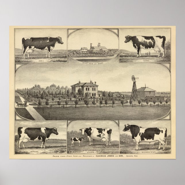 Póster Granja Prairie Lawn, Nebraska (Frente)