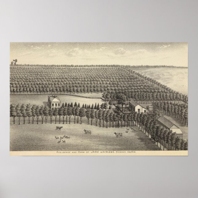 Póster Granja sin amor, Nebraska (Frente)