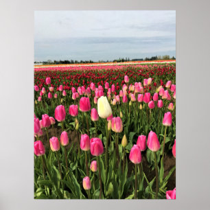 Póster Granja Tulip en Oregón