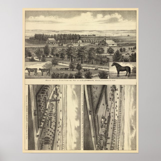 Póster Granja Wahoo Valley, Nebraska (Frente)