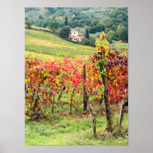Póster Granja y viñedo
