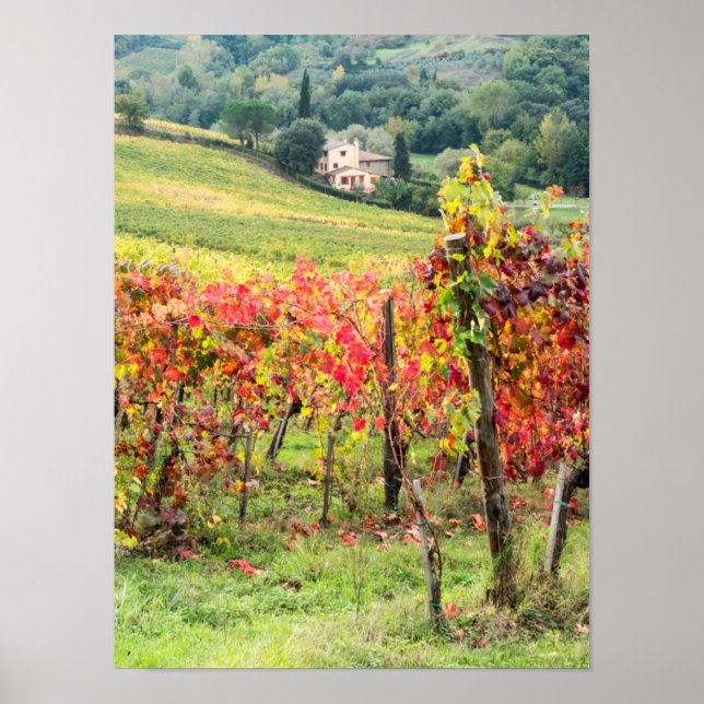 Póster Granja y viñedo (Frente)