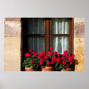 Póster Granjas de flores en la aldea