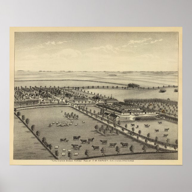 Póster Granjas de Turlington, Nebraska (Frente)