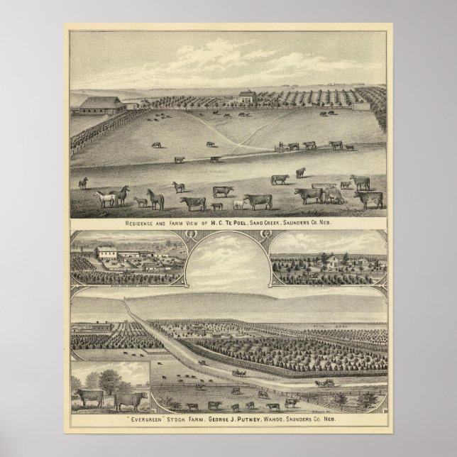 Póster Granjas del Condado de Saunders, Nebraska (Frente)