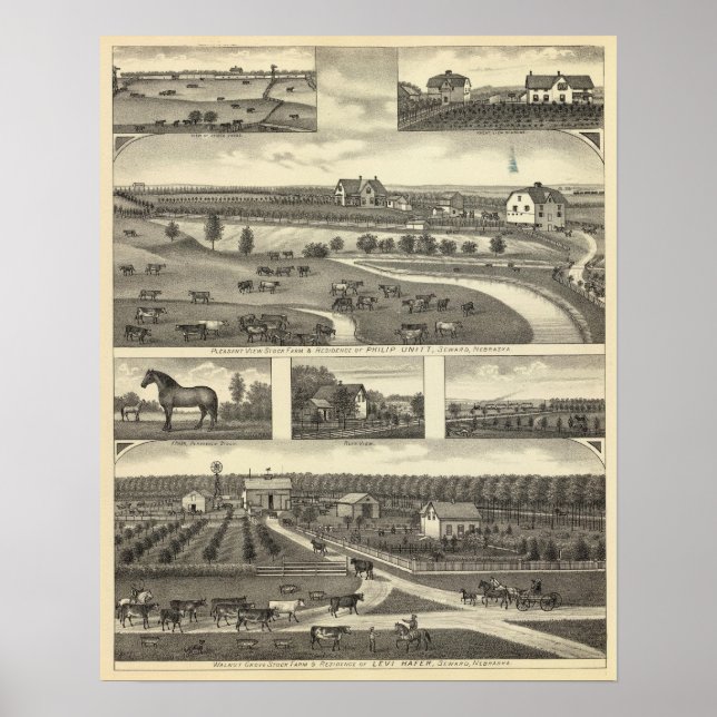 Póster Granjas Seward, Nebraska (Frente)