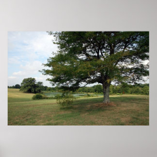 Póster Granjas Shelby