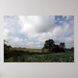 Póster Granjas Shelby