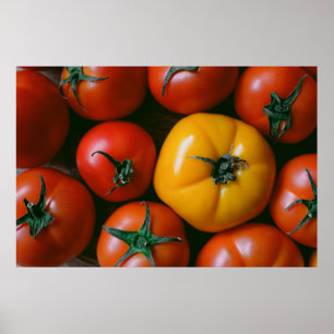 Póster Granjas Tomates rojos y amarillos brillantes