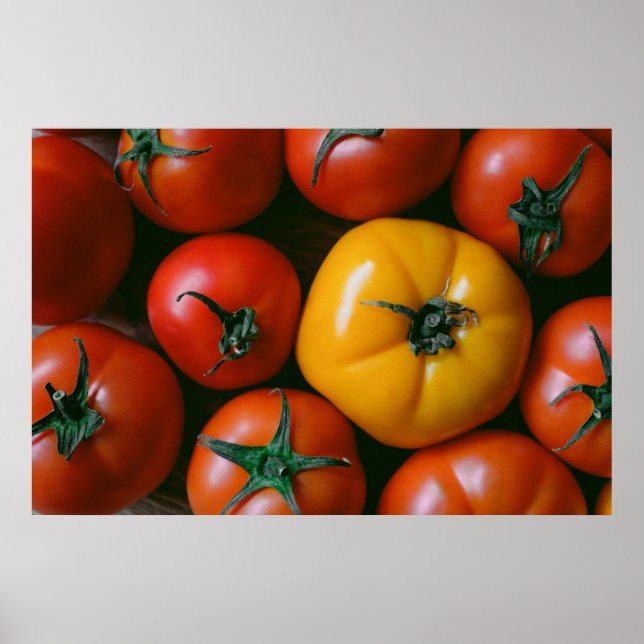 Póster Granjas | Tomates rojos y amarillos brillantes (Frente)
