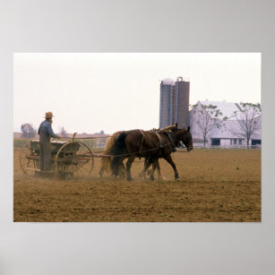 Póster Granjero de Amish con plantador de semillas tirada
