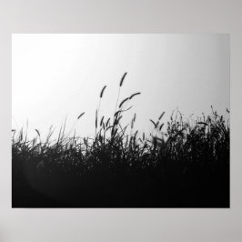 Póster Grano salvaje blanco y negro en campo al atardecer