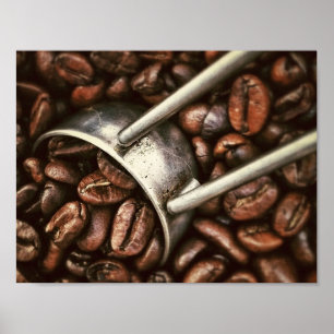 Póster Granos y cucharada de café