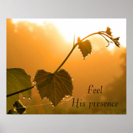 Póster Grapevina y gotas caídas al amanecer Inspirador