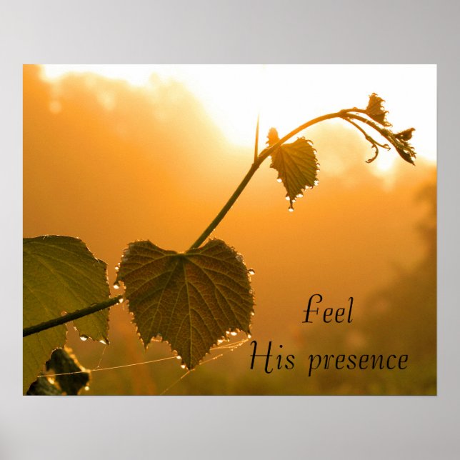 Póster Grapevina y gotas caídas al amanecer Inspirador (Frente)