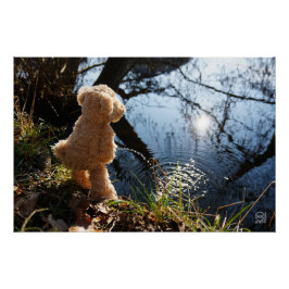 Póster Grappige beer die ondeugend plast.