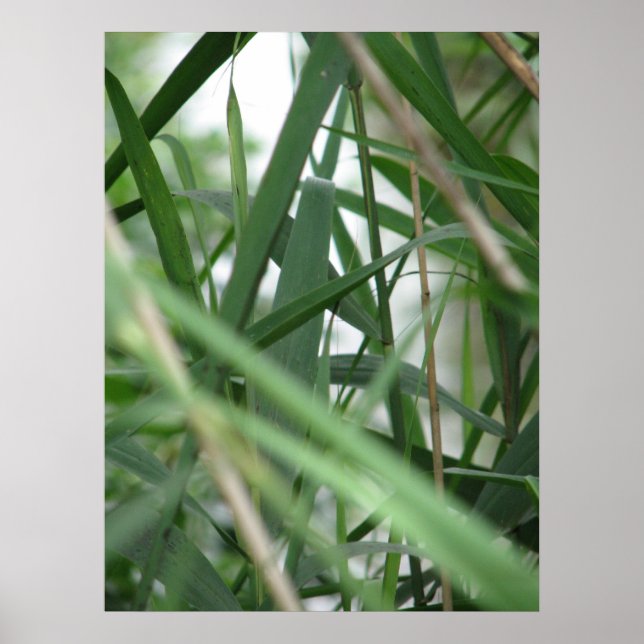 Póster Grasa (Frente)