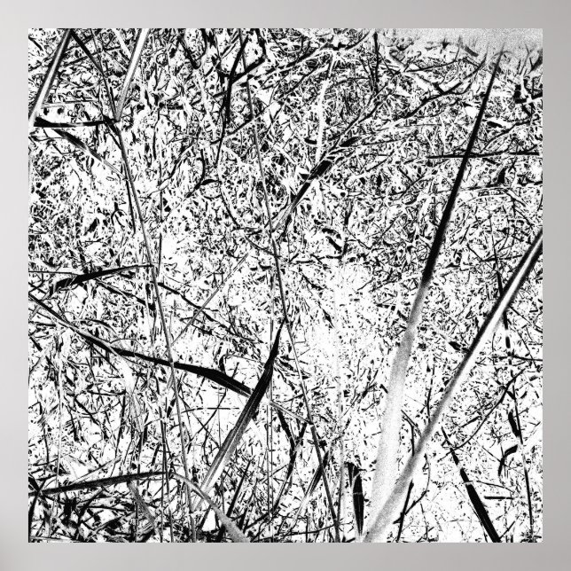 Póster Grasa Alien Blanca (Frente)