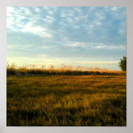 Póster Grasa de Isla