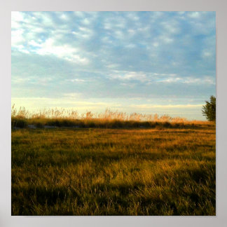 Póster Grasa de Isla