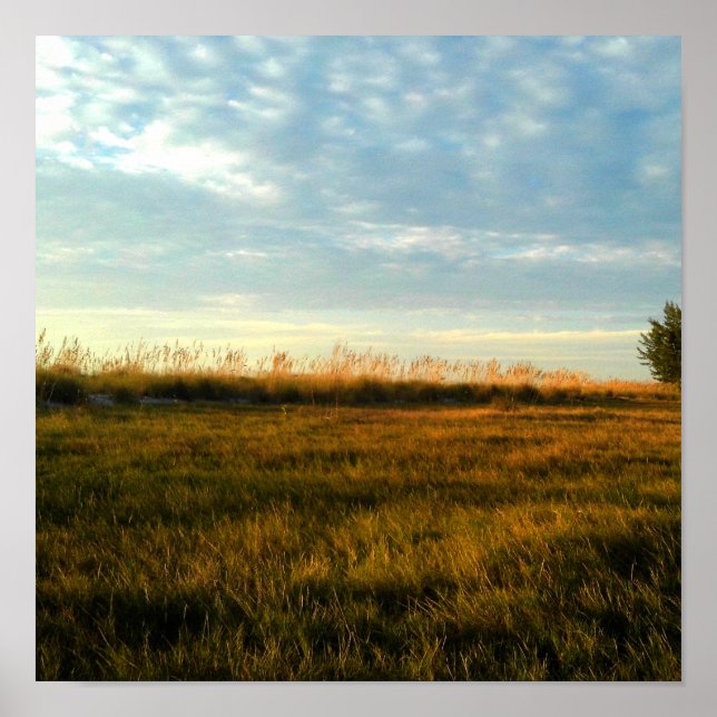 Póster Grasa de Isla (Frente)