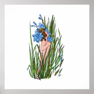 Póster Grasa de ojos azules