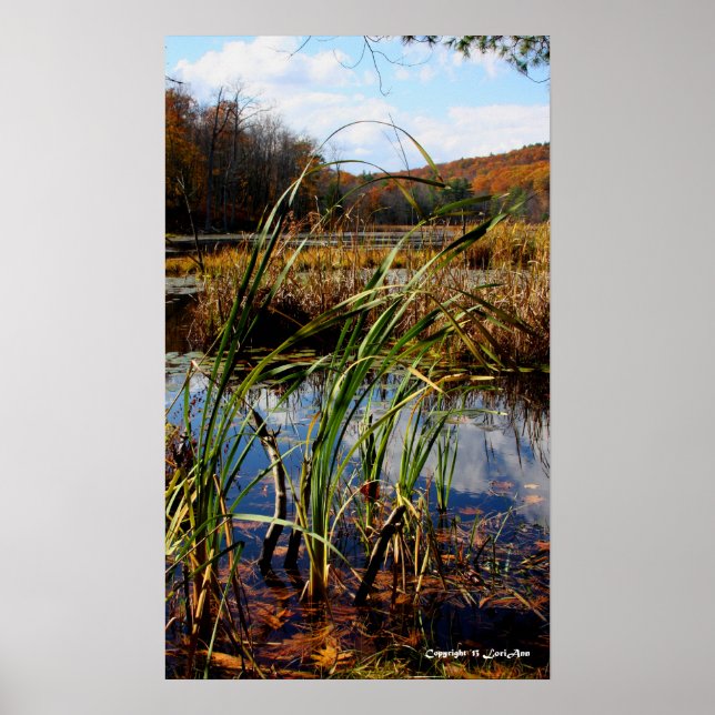 Póster Grasa de pantano (Frente)