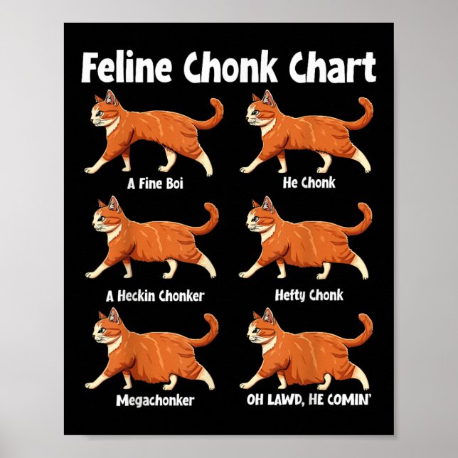 Póster Grasa divertida en gráfico de chonetas felinas (Frente)