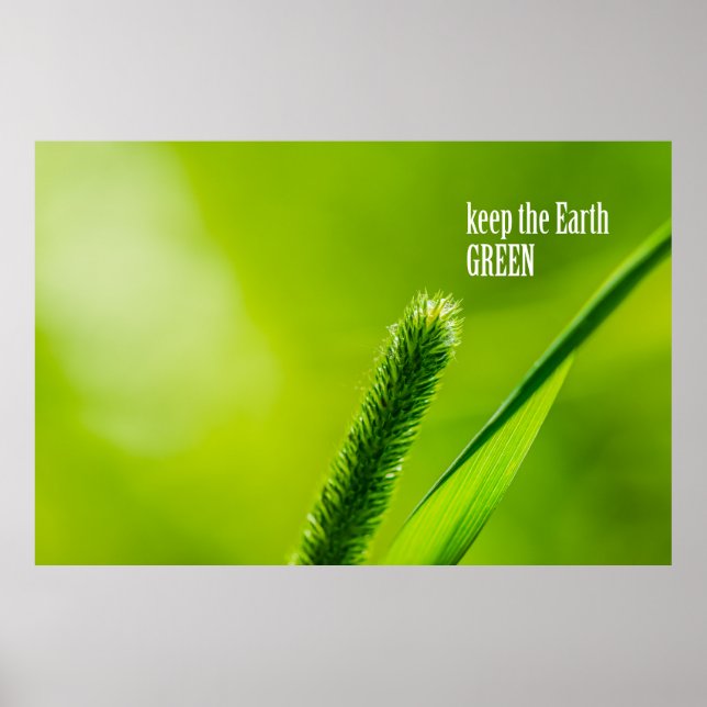 Póster Grasa verde y sol - Mantener verde a la Tierra (Frente)