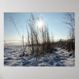 Póster Grasas de invierno -