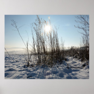 Póster Grasas de invierno -