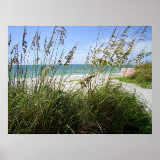 Póster Grasas de mar