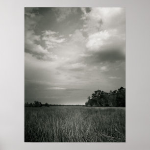 Póster Grasas de Marsh