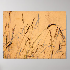 Póster Grasas Y Sombras De Verano Postcard