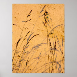 Póster Grasas Y Sombras De Verano Postcard