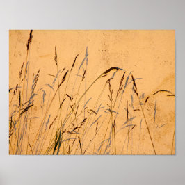 Póster Grasas Y Sombras De Verano Postcard