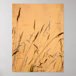 Póster Grasas Y Sombras De Verano Postcard