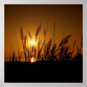 Póster Grass Silhouette