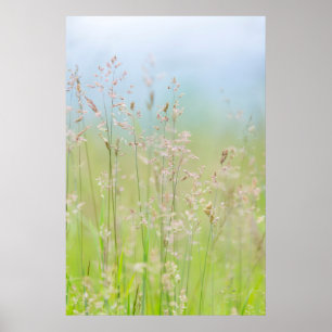 Póster Grasses in motion
