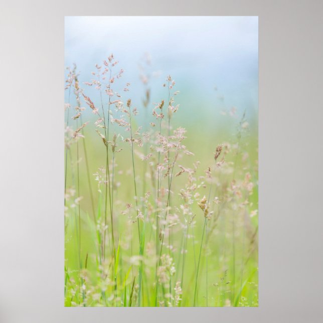 Póster Grasses in motion (Frente)