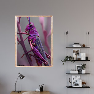 Póster Grasshopper morado