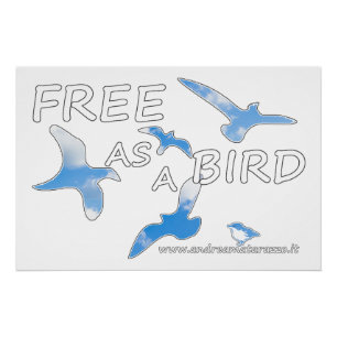 Póster Gratis como brillo de pájaro