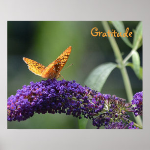 Póster Gratitude Butterfly Poster