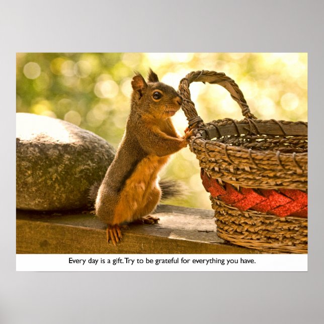 Póster Gratitude Squirrel (Frente)