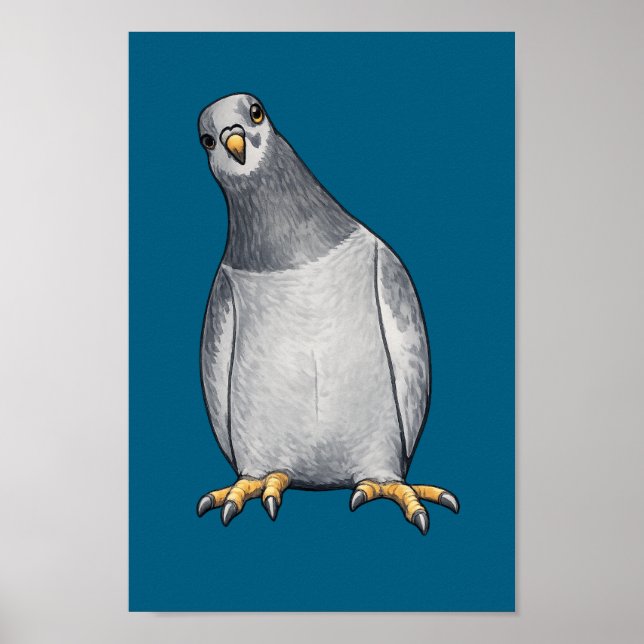 Póster Grau weiße Tauben - Türkises Poster (Frente)