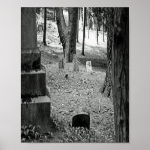 Póster Grave olvidada